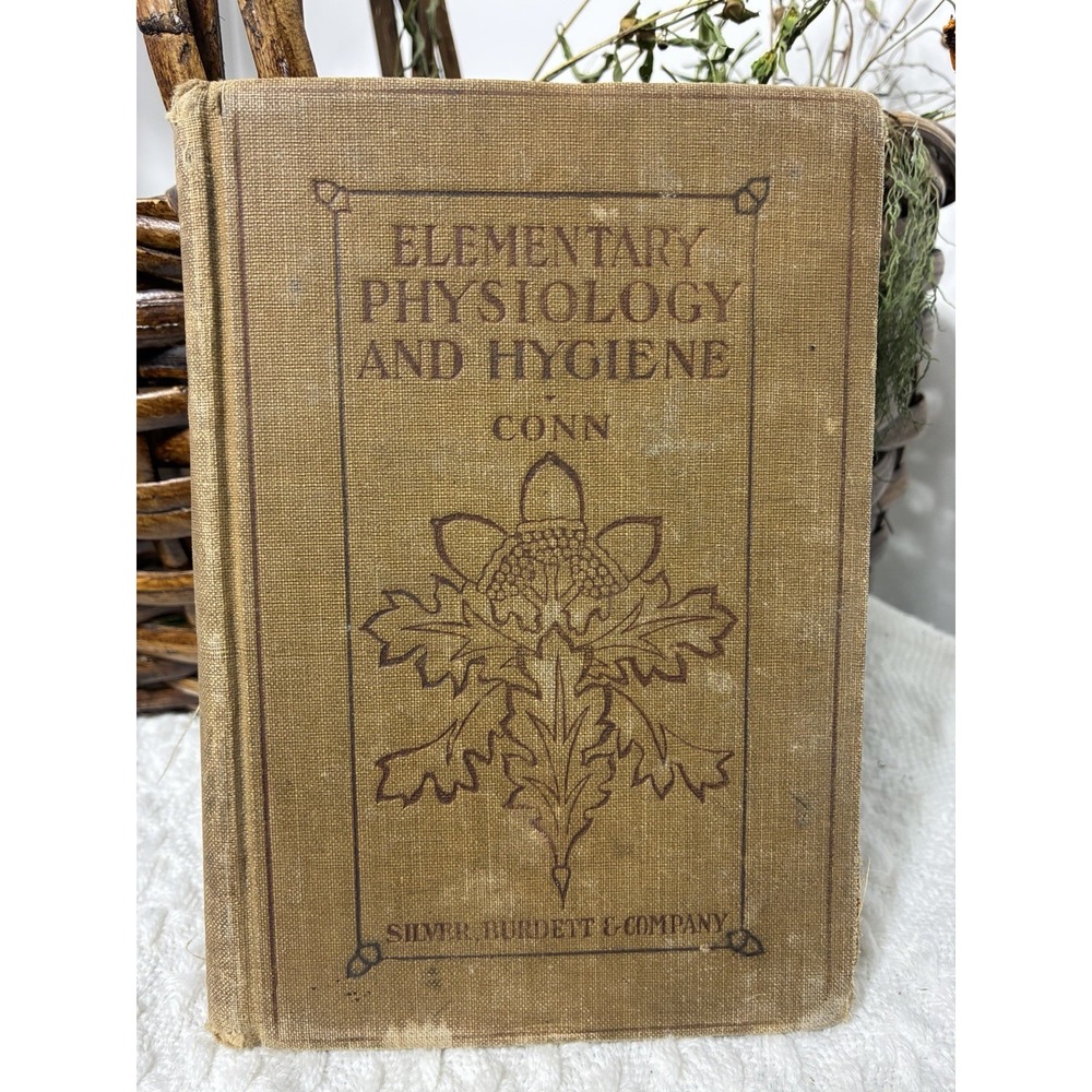 1906 Antique Elementary Physiology Hygiene H.W. Conn Medical School Textbook